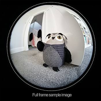 Amazon | Meike 6.5mm F/2.0 アニュラス 魚眼（MF）レンズfor